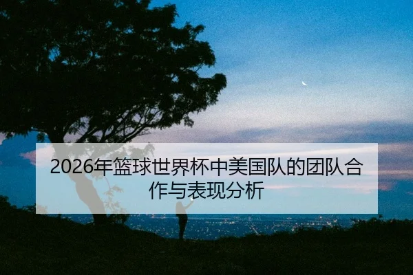 nian-lan-qiu-shi-jie-bei-zhong-mei-guo-dui-de-tuan-dui-he-zuo-yu-biao-xian-fen-xi-2-618.jpg