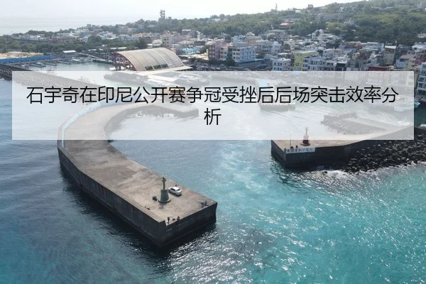 石宇奇在印尼公开赛争冠受挫后后场突击效率分析