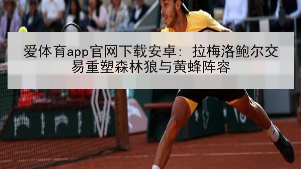 爱体育app官网下载安卓: 拉梅洛鲍尔交易重塑森林狼与黄蜂阵容