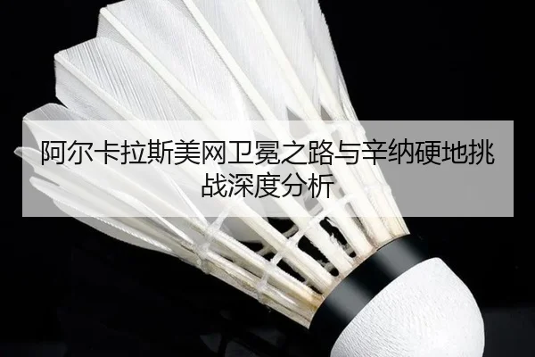 a-er-ka-la-si-mei-wang-wei-mian-zhi-lu-yu-xin-na-ying-di-tiao-zhan-shen-du-fen-xi-3-606.jpg