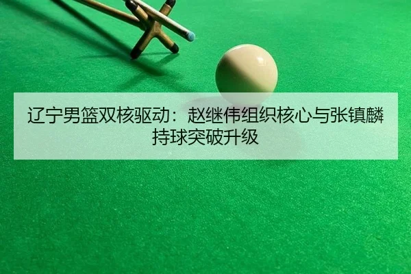 辽宁男篮双核驱动：赵继伟组织核心与张镇麟持球突破升级