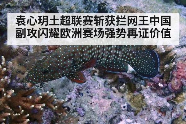 袁心玥土超联赛斩获拦网王中国副攻闪耀欧洲赛场强势再证价值